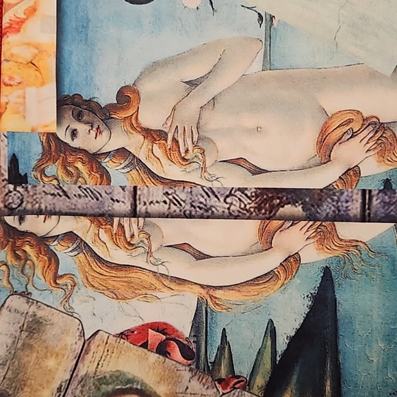 Super Shine Prints by Drill Italian Renaissance art drawstring hoodie Medium EUC - Picture 9 of 9